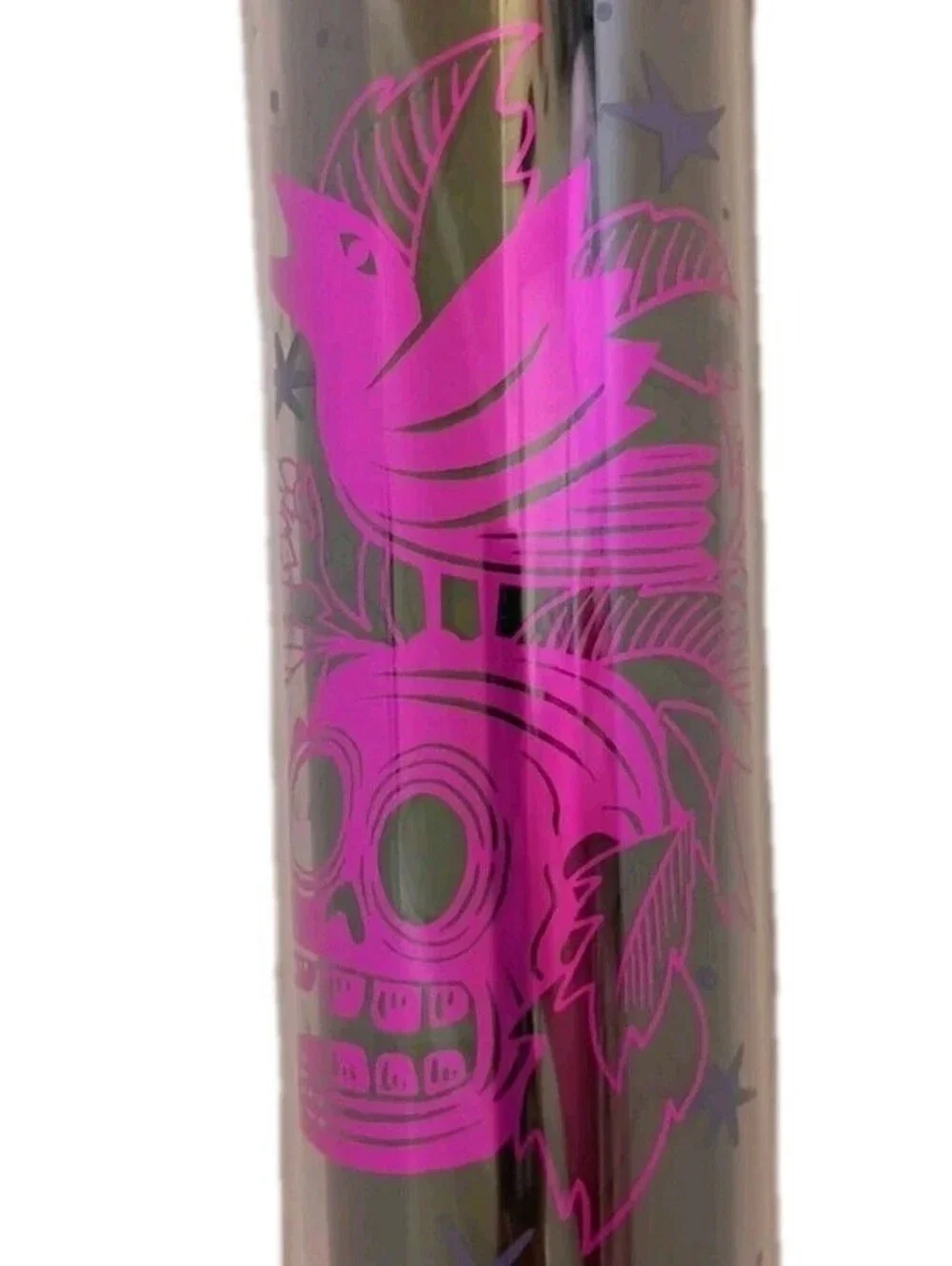 Starbucks Edgar Allan Poe Shakespeare Halloween Skull Raven Travel Tumbler Cup